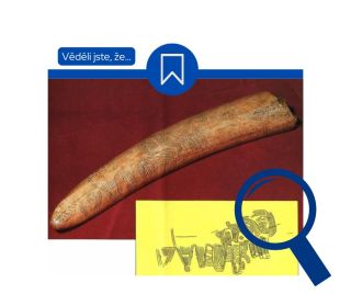 Víte, že u Pavlova na jihu Moravy se nachází jedno z nejvýznamnějších archeologických nalezišť? Mezi vzácnými nálezy se...